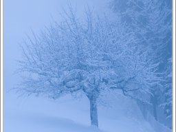 Снежный туман в Гриндельвальде